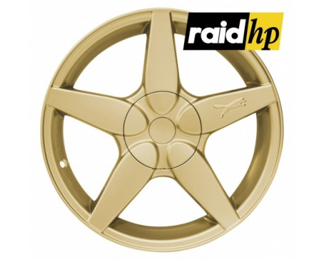 Raid HP flytande sprayfilm - guldmetallisk - 400 ml
