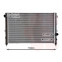 RADIATEUR DISCOVERY2 40i MT/AT 99- 02002175 International Radiators, voorbeeld 2