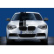 Nieren Hoogglans Zwart BMW F20/F21'Performance' 2011-2015, voorbeeld 2