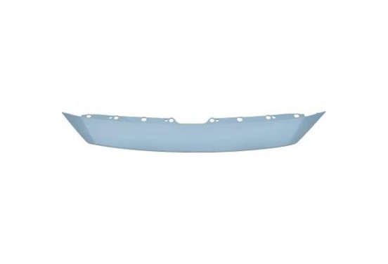 Plaat, radiateurgrille