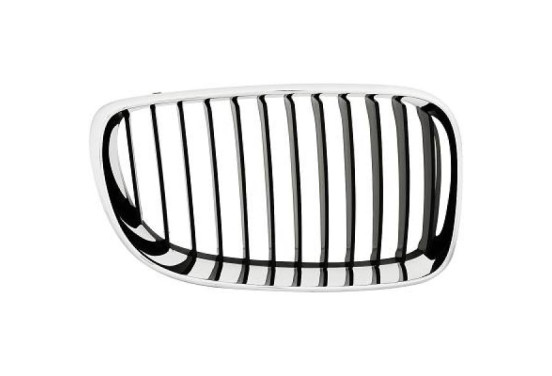 Radiateurgrille Priority Parts