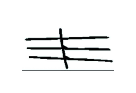 Sier- / Beschermingspaneel, radiateurgrille