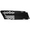 Ventilatiegrille, bumper Priority Parts