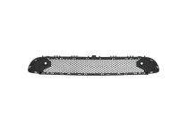 Ventilatiegrille, bumper