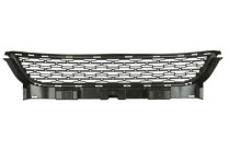 Ventilatiegrille, bumper