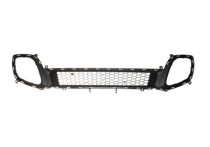 Ventilatiegrille, bumper