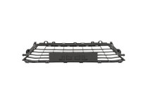 Ventilatiegrille, bumper