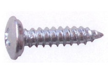 Kentekenplaatschroef 20 stuks 4,8X19 mm