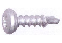 Kentekenplaatschroef	20 stuks 5,0X16 mm