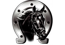 Sticker Horse + Horseshoe - 6x7cm
