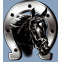 Sticker Horse + Horseshoe - 6x7cm, voorbeeld 3