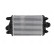 Intercooler, laddluftkylare 961303 Nissens, miniatyr 4