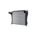 Intercooler, laddluftkylare, miniatyr 3