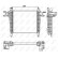 Intercooler, laddluftkylare, miniatyr 4