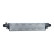 Intercooler, laddluftkylare, miniatyr 3