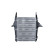 Intercooler, laddluftkylare, miniatyr 4