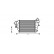 Laddluftkylare 01004086 International Radiators, miniatyr 2