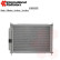 kylare 4300M499 International Radiators, miniatyr 3