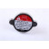 Kylare, motorkylning 64173A Nissens, miniatyr 7