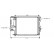 Kylare, motorkylning *** IR PLUS *** 06002186 International Radiators Plus, miniatyr 2