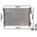Kylare, motorkylning *** IR PLUS *** 20012707 International Radiators Plus, miniatyr 2