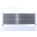 Radiator 606907 Nissens, miniatyr 4
