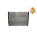 Radiator, miniatyr 4
