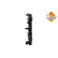 Radiator, miniatyr 3