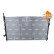Radiator, miniatyr 3