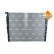 Radiator, miniatyr 3
