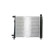 Radiator, miniatyr 6