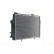 Radiator, miniatyr 5