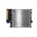 Radiator, miniatyr 2