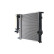Radiator, miniatyr 3