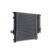 Radiator, miniatyr 5