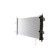 Radiator, miniatyr 3
