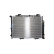Radiator, miniatyr 2