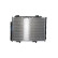 Radiator, miniatyr 6
