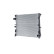 Radiator, miniatyr 2