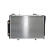 Radiator, miniatyr 2