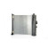Radiator, miniatyr 2