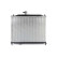 Radiator, miniatyr 2
