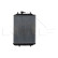 Radiator, miniatyr 2