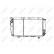 Radiator, miniatyr 2