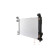 Radiator, miniatyr 3