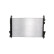 Radiator, miniatyr 6