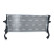 Radiator, miniatyr 3