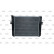 Radiator, miniatyr 3