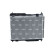 Radiator, miniatyr 3