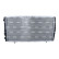 Radiator, miniatyr 4
